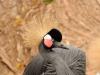 On the theme of birds