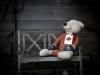 The neighbourhood bear